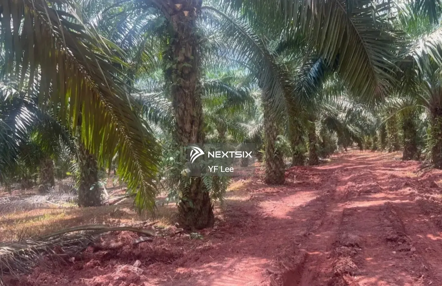 Agricultural Land For Sale in Paloh Johor