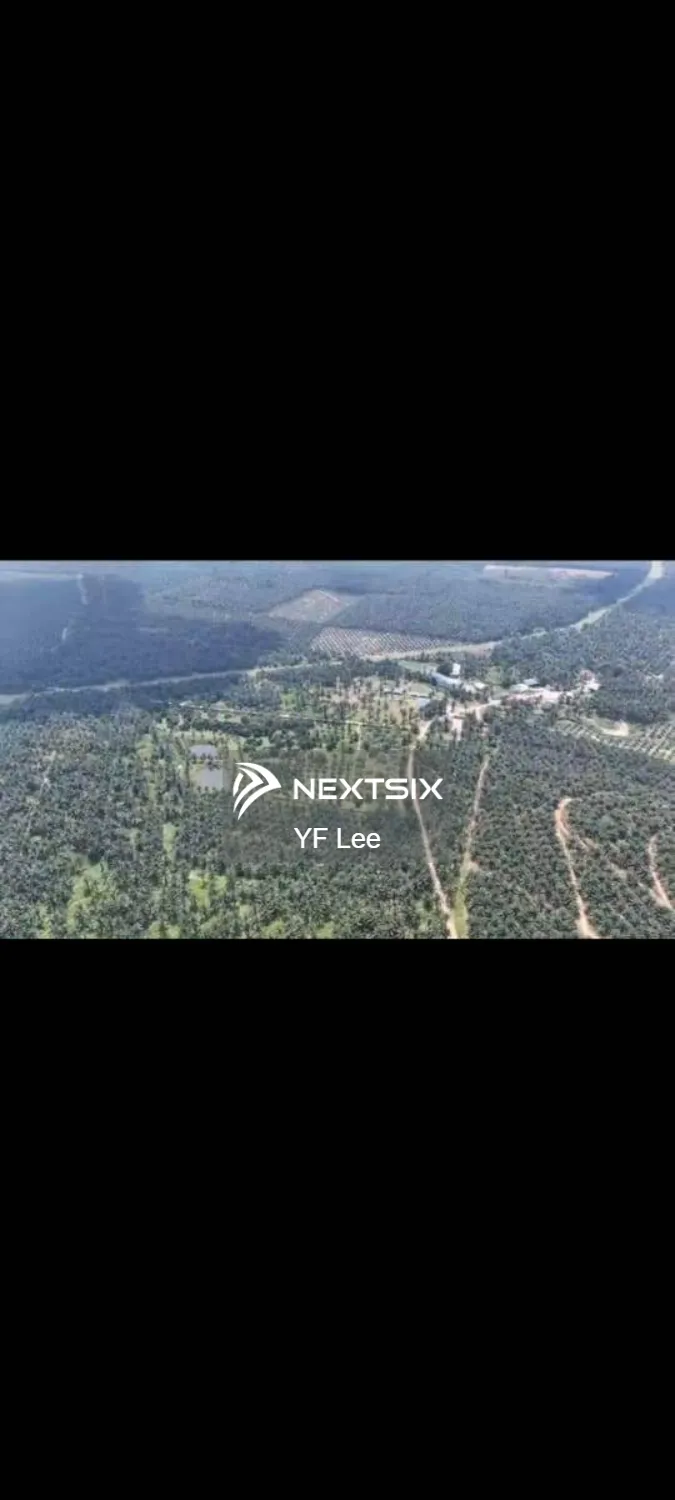 Agricultural Land For Sale in Paloh Johor - Image 11
