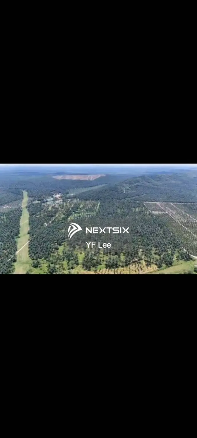 Agricultural Land For Sale in Paloh Johor - Image 5