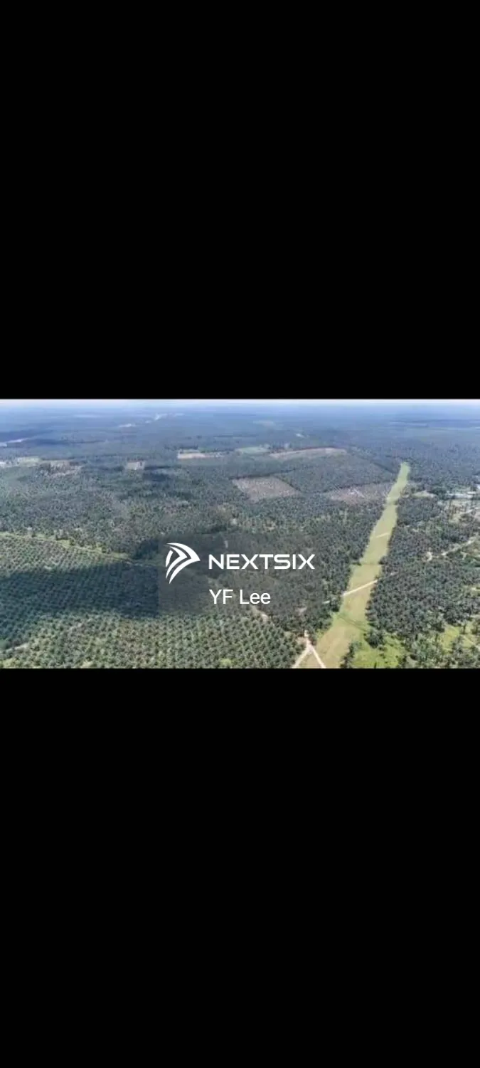Agricultural Land For Sale in Paloh Johor - Image 7