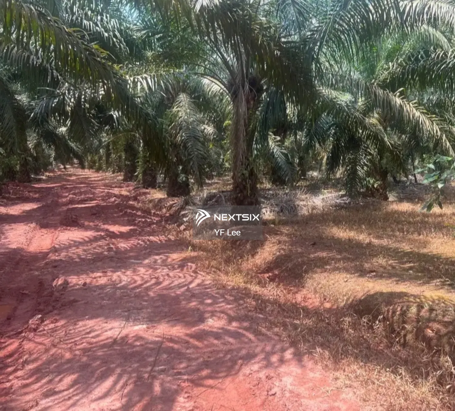 Agricultural Land For Sale in Paloh Johor - Image 9