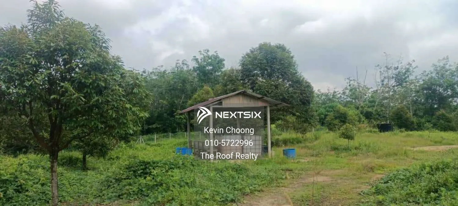 Agricultural Land For Sale in Karak Pahang - Image 5