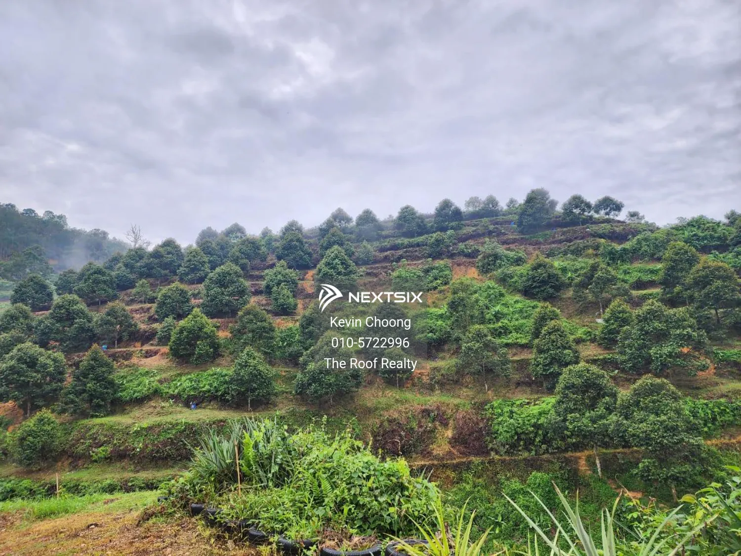 Agricultural Land For Sale in Karak Pahang
