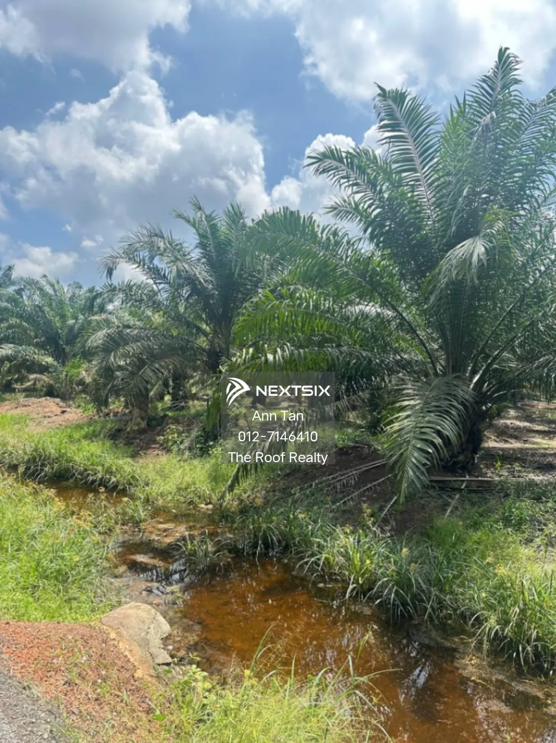 Agricultural Land For Sale in Batu Pahat Johor