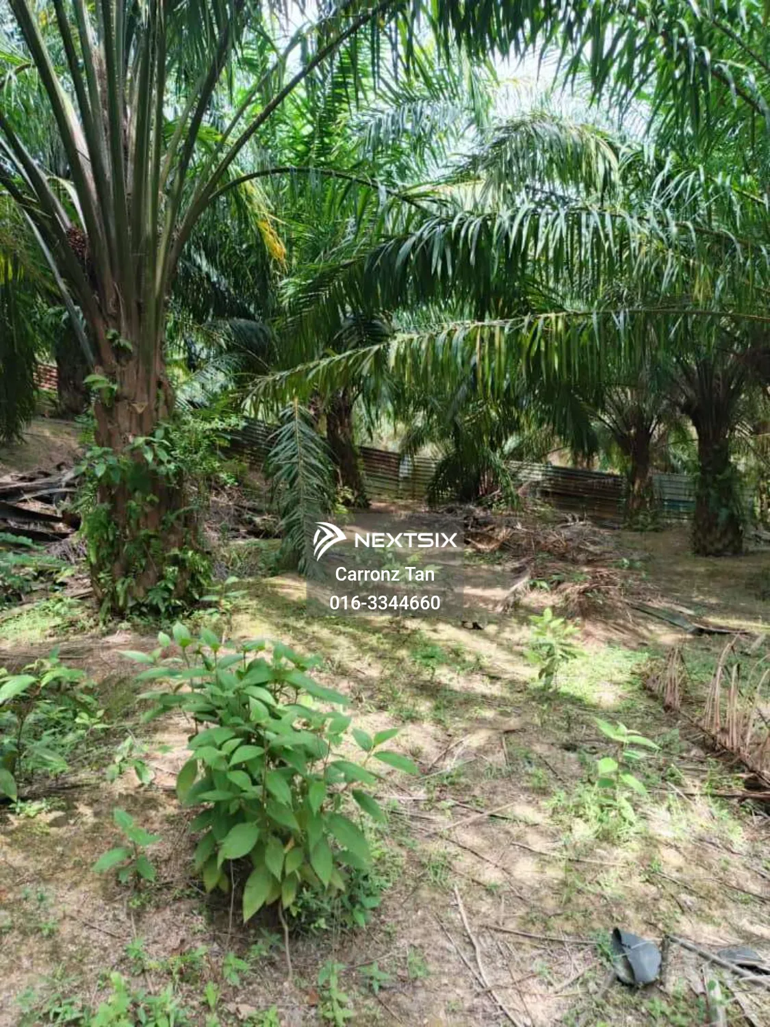 Agricultural Land For Sale in Alor Gajah Melaka