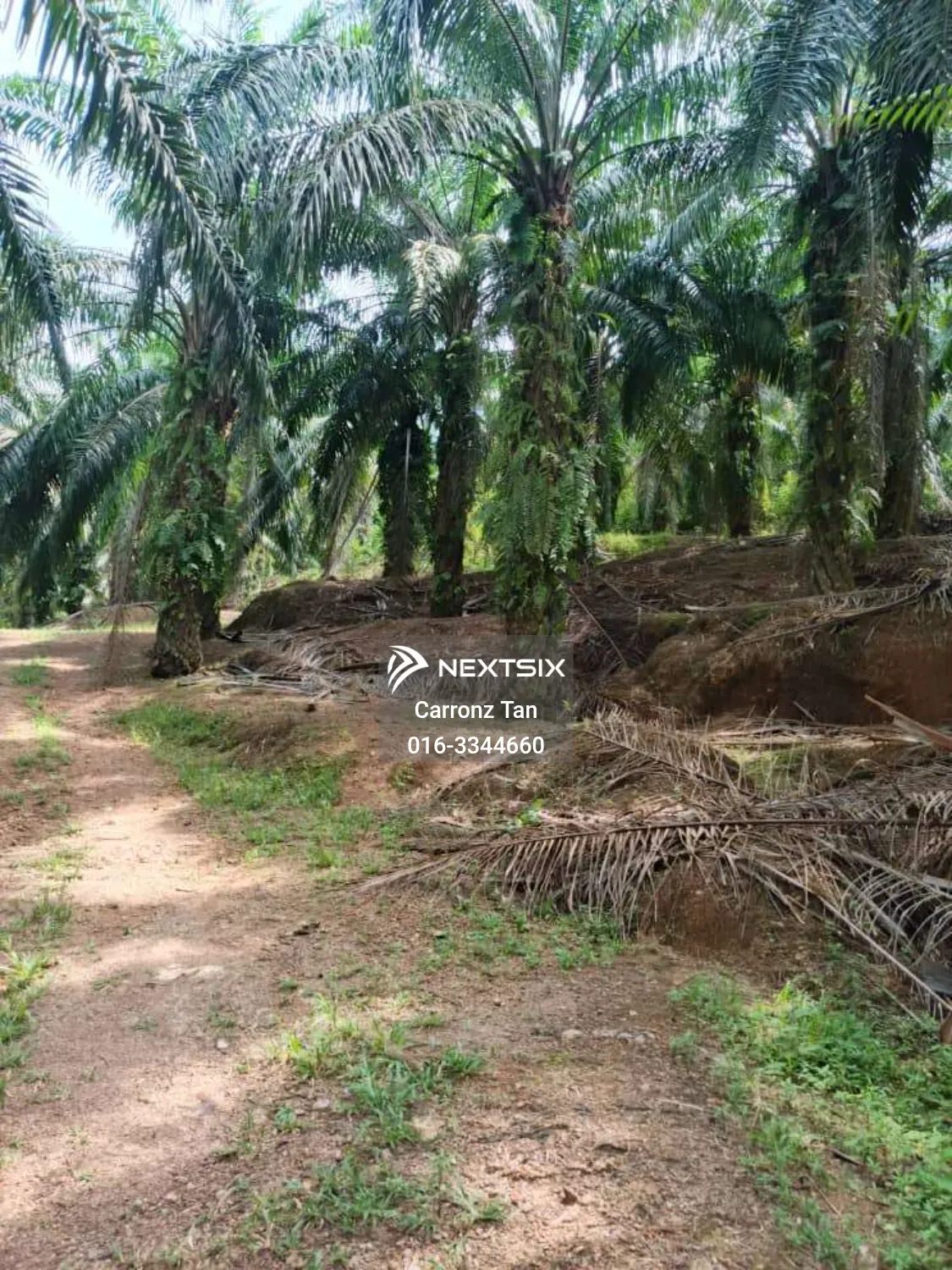 Agricultural Land For Sale in Alor Gajah Melaka - Image 5