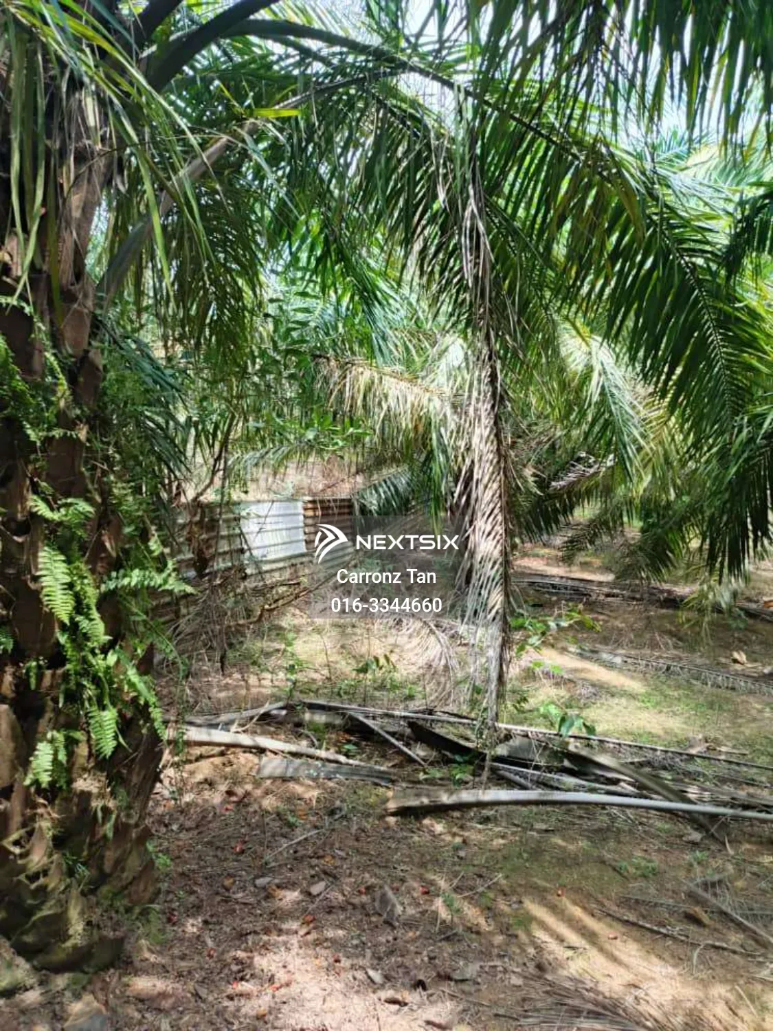 Agricultural Land For Sale in Alor Gajah Melaka - Image 6