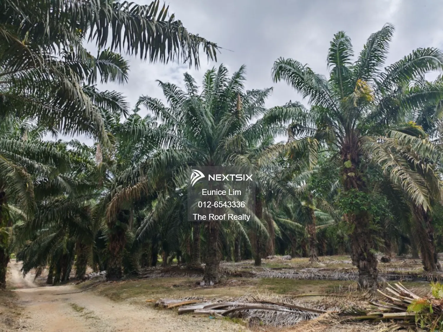 Agricultural Land For Sale in Pagoh Johor