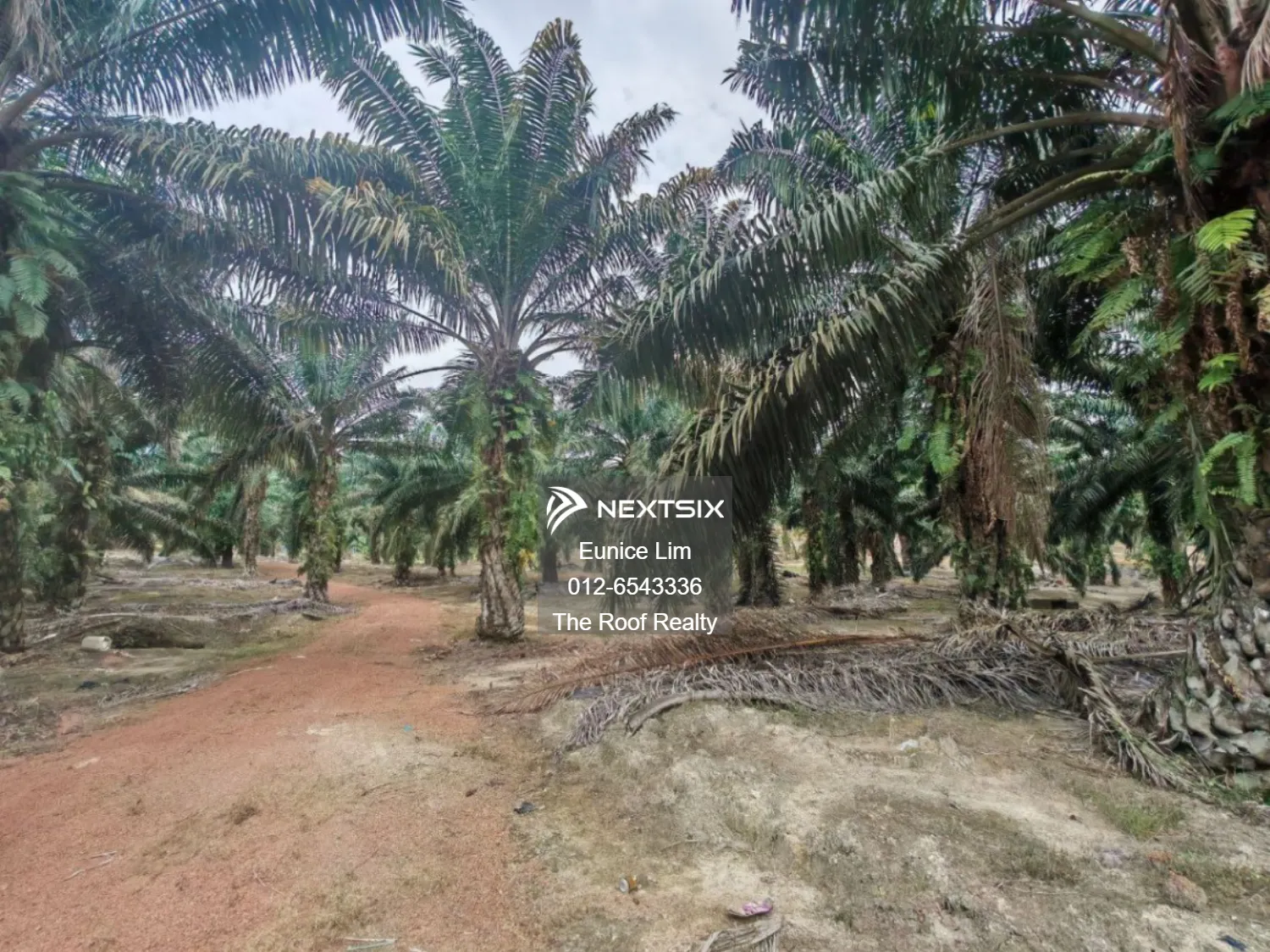 Agricultural Land For Sale in Pagoh Johor - Image 3