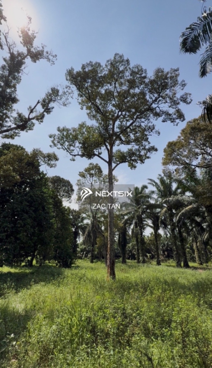 Agricultural Land For Sale in Gelang Patah Johor