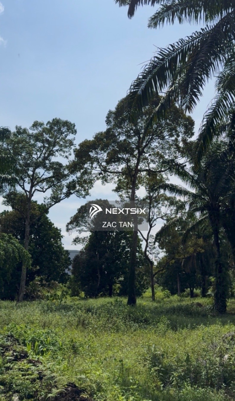 Agricultural Land For Sale in Pekan Nanas Johor