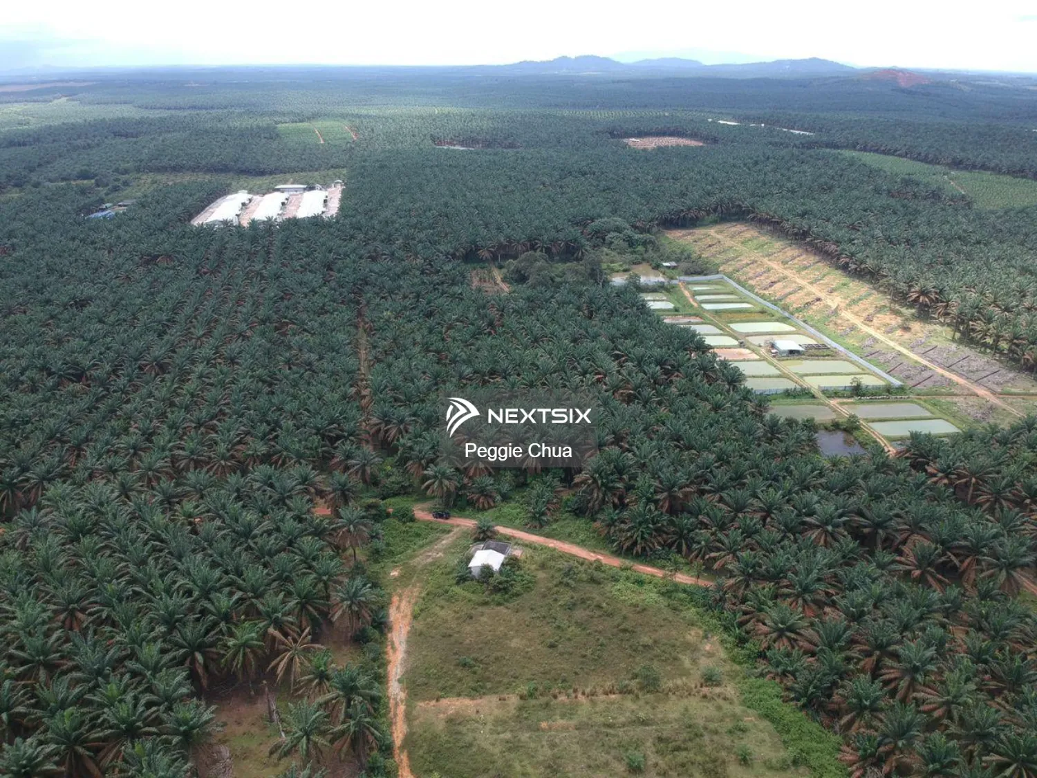 Agricultural Land For Sale in Kluang Johor