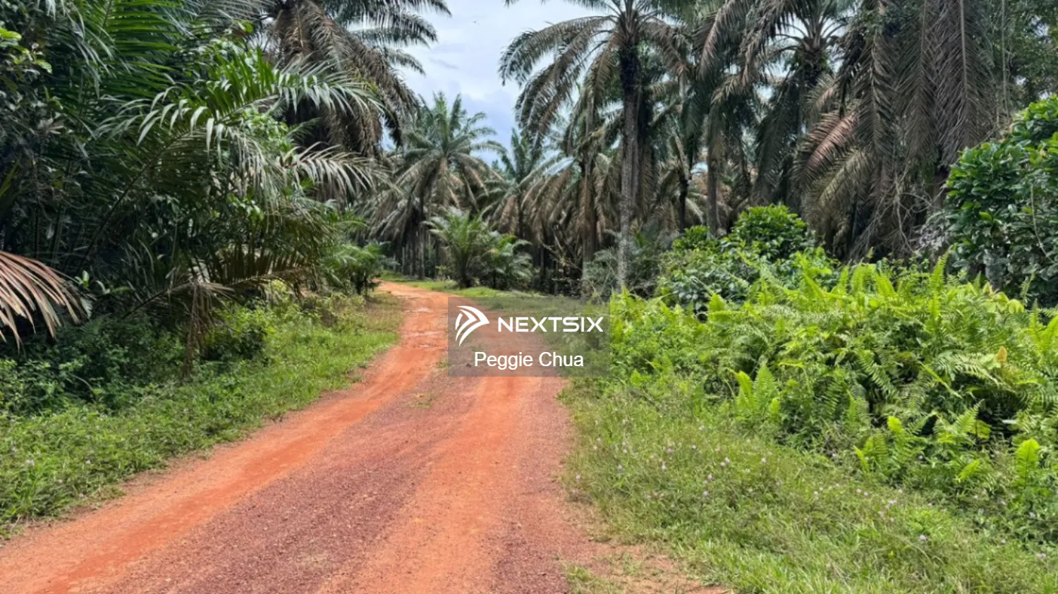 Agricultural Land For Sale in Kluang Johor - Image 2