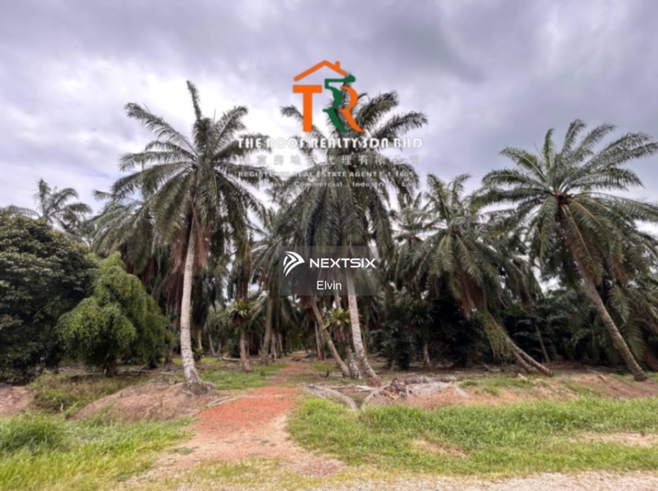 Agricultural Land For Sale in Muar Johor