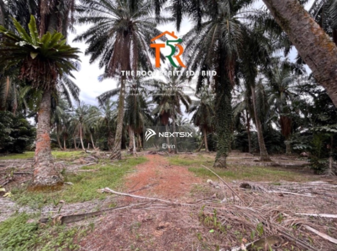 Agricultural Land For Sale in Muar Johor - Image 2