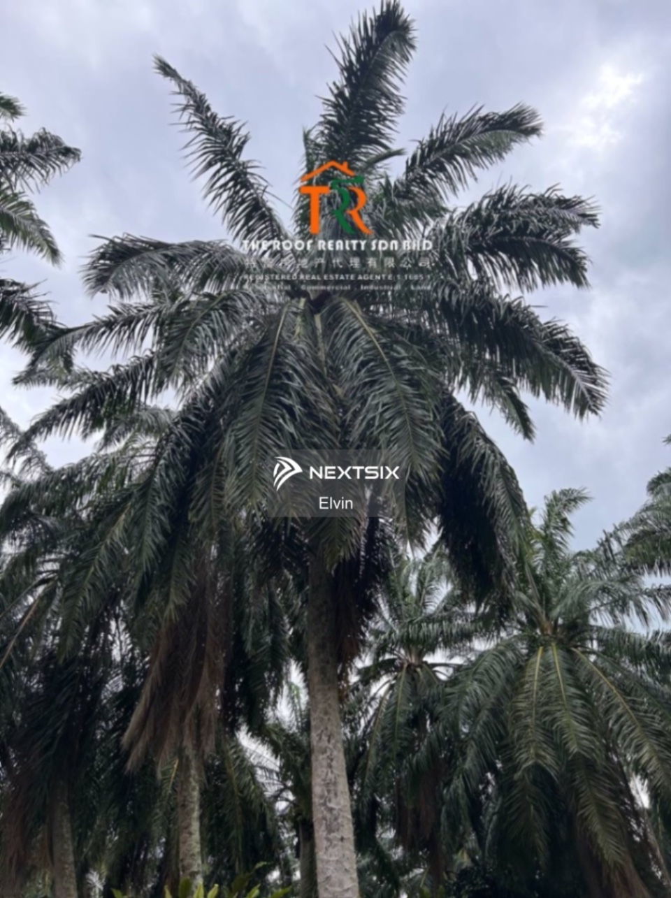 Agricultural Land For Sale in Muar Johor - Image 3