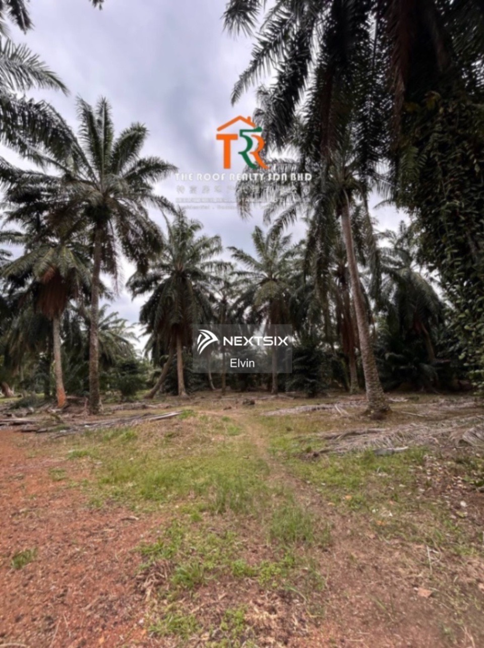 Agricultural Land For Sale in Muar Johor - Image 4