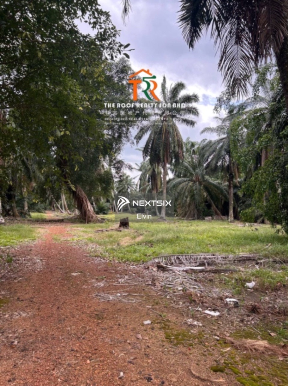 Agricultural Land For Sale in Muar Johor - Image 5