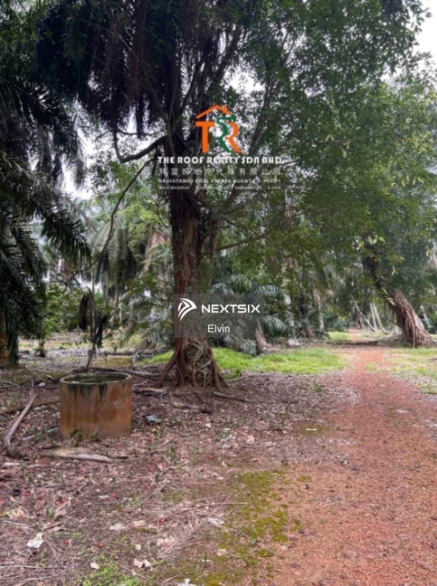 Agricultural Land For Sale in Muar Johor - Image 7