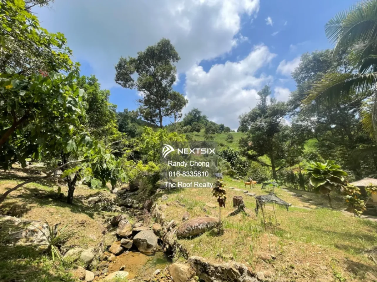 Agricultural Land For Sale in Kota Kinabalu Sabah - Image 12