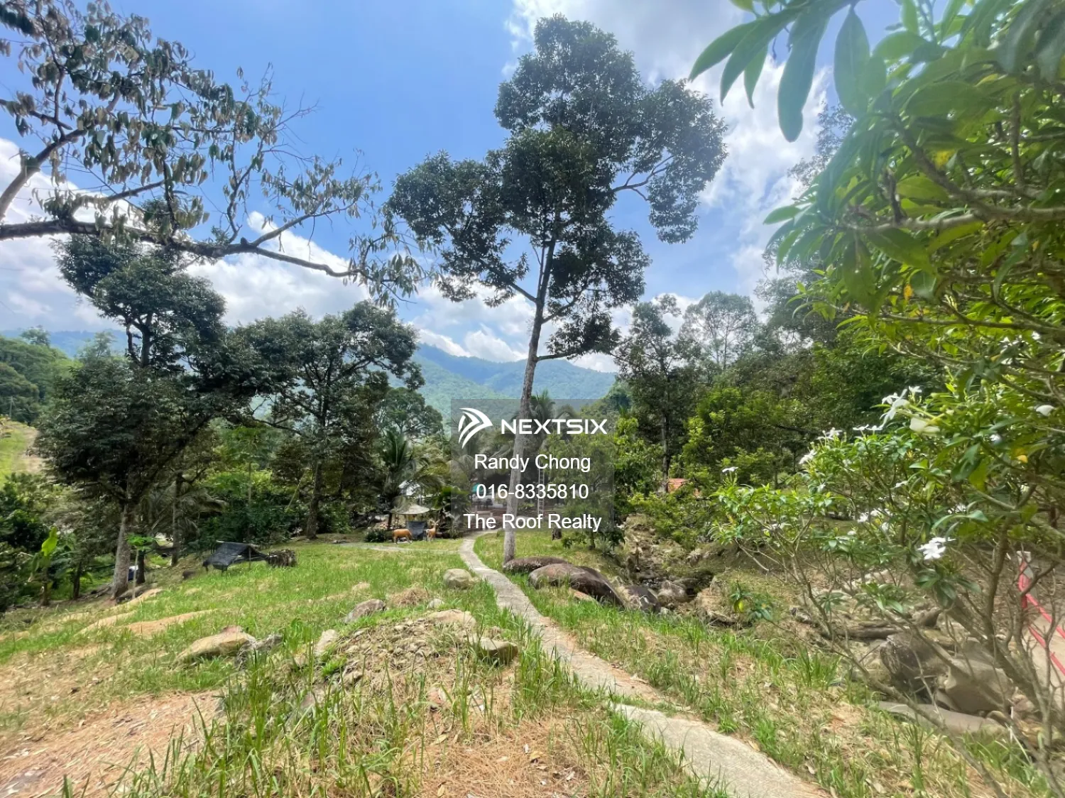 Agricultural Land For Sale in Kota Kinabalu Sabah - Image 13