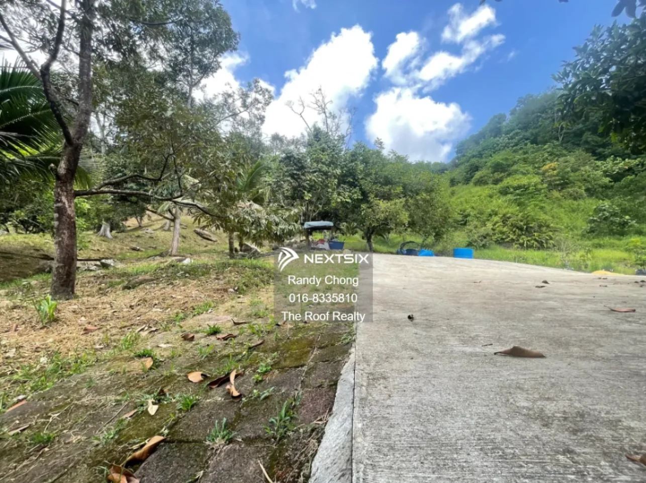 Agricultural Land For Sale in Kota Kinabalu Sabah - Image 14