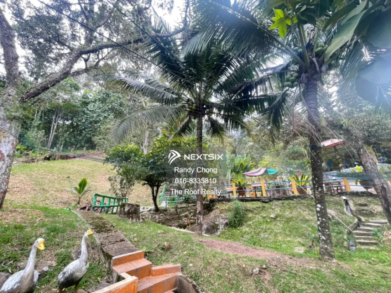 Agricultural Land For Sale in Kota Kinabalu Sabah - Image 19