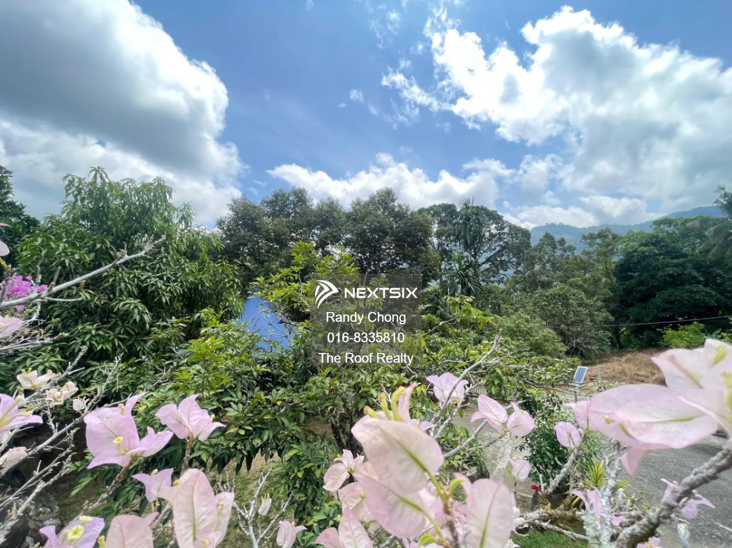 Agricultural Land For Sale in Kota Kinabalu Sabah - Image 5