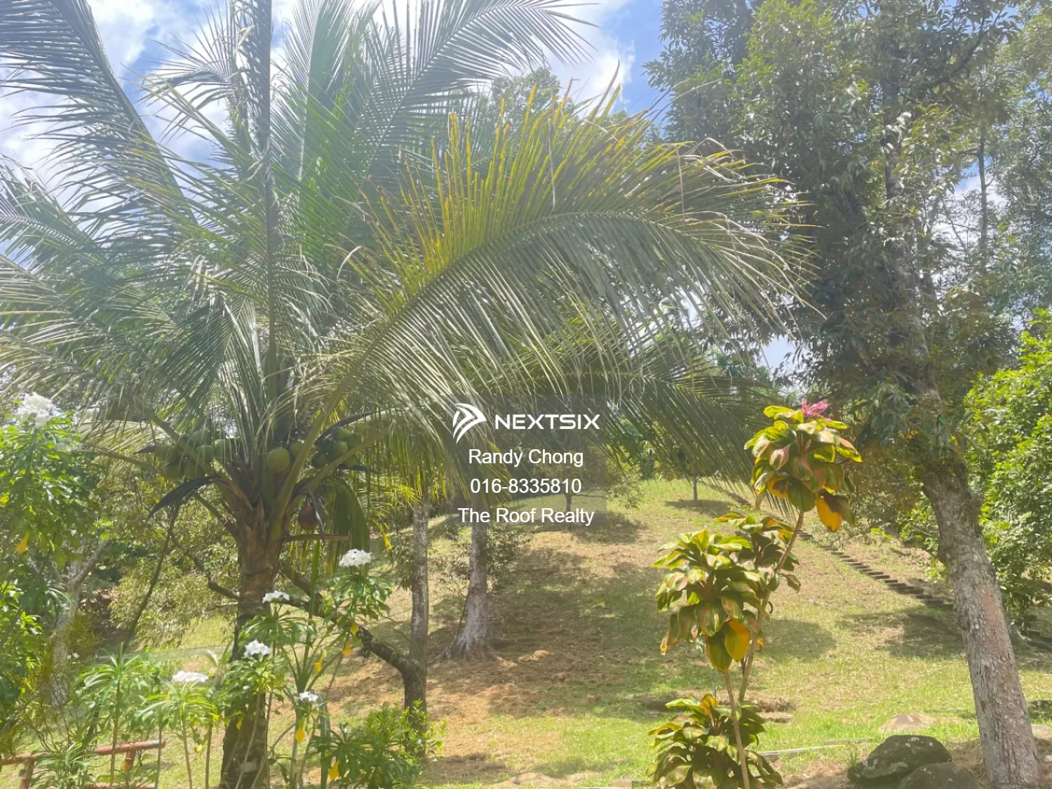 Agricultural Land For Sale in Kota Kinabalu Sabah - Image 7