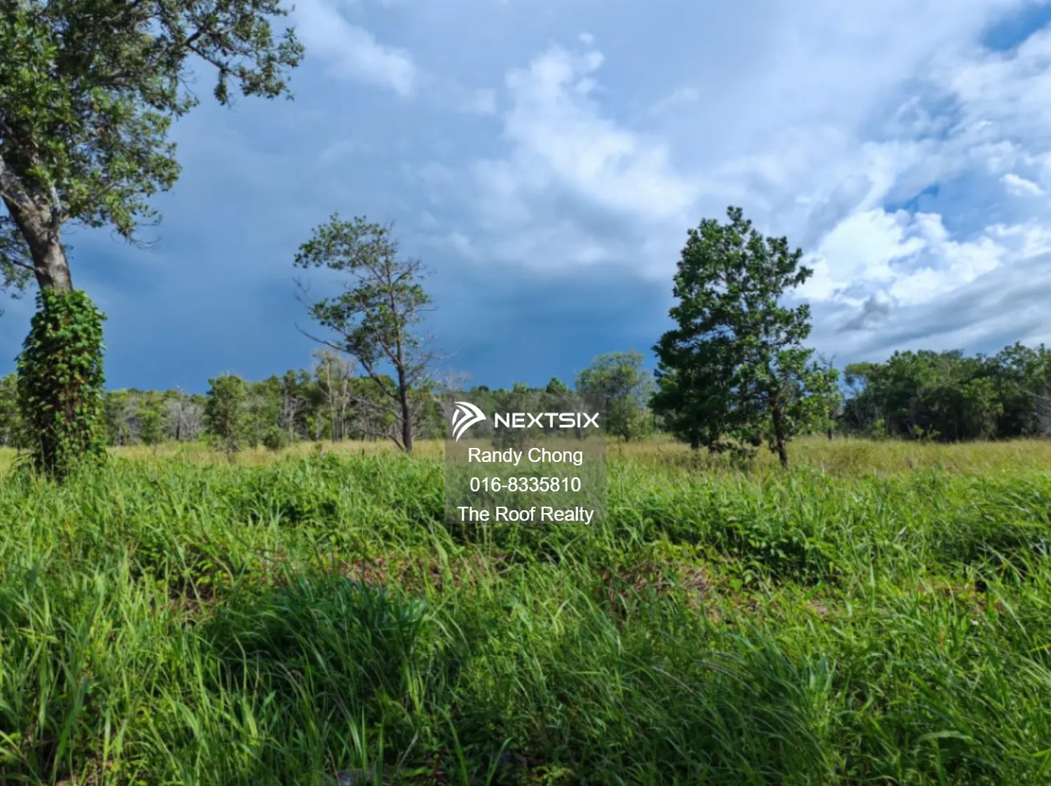 Agricultural Land For Rent in Sipitang Sabah - Image 4