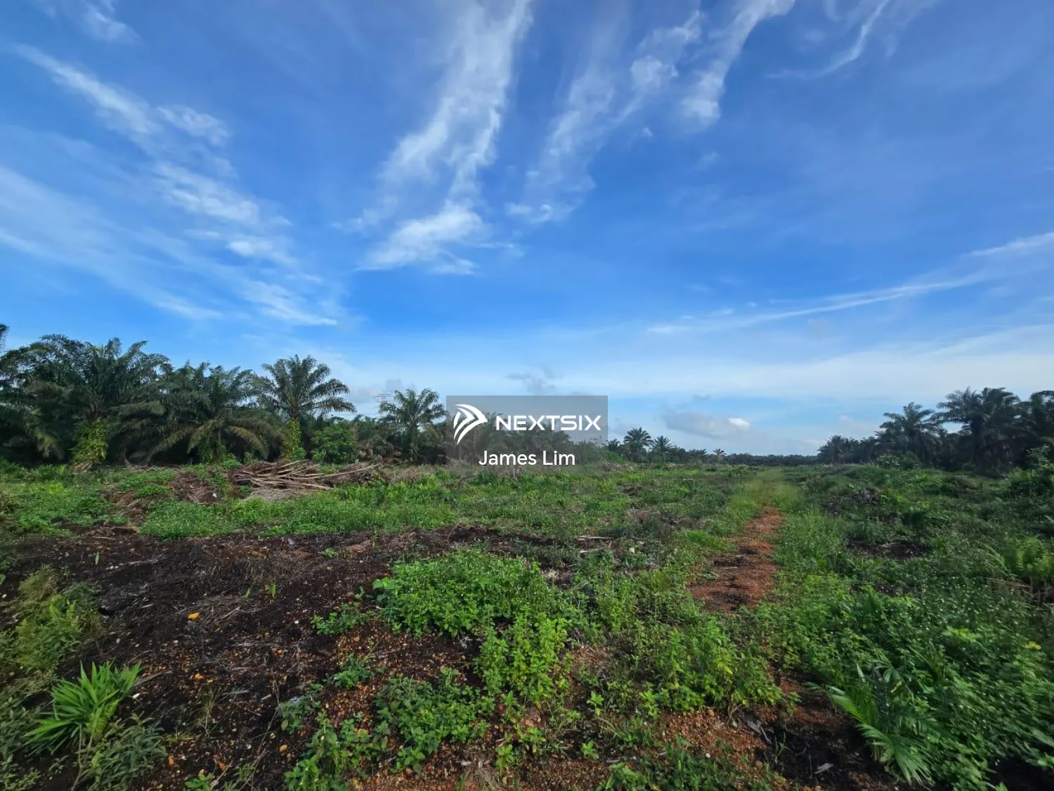 Agricultural Land For Sale in Pekan Nanas Johor - Image 2