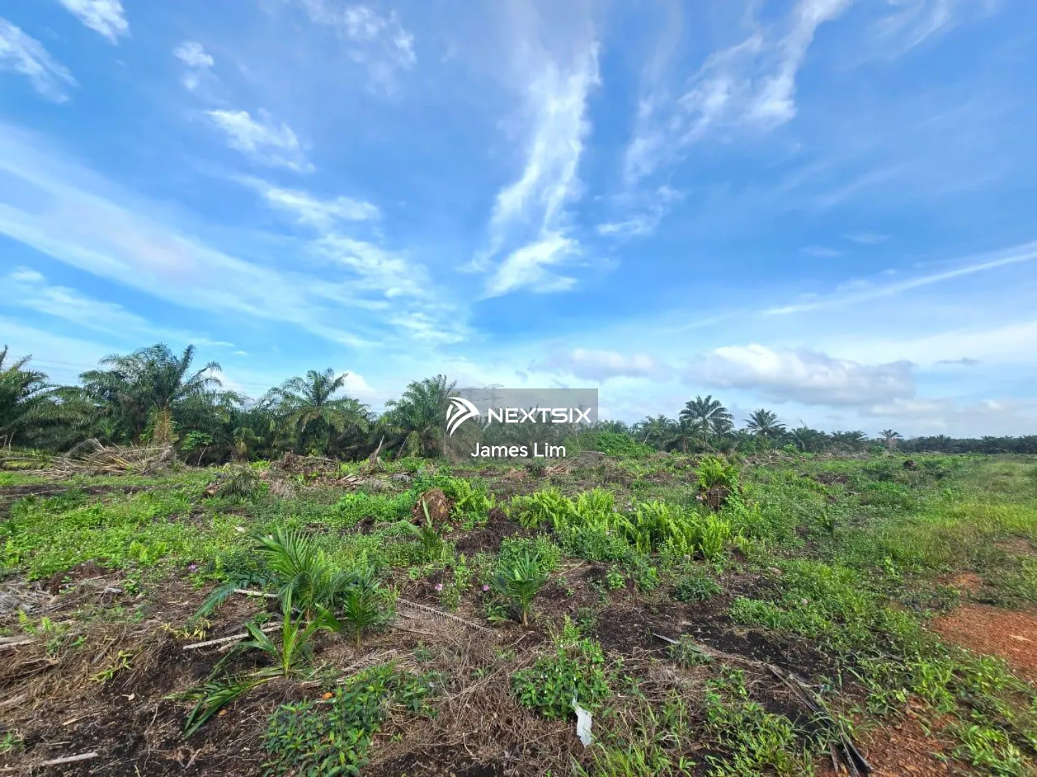 Agricultural Land For Sale in Pekan Nanas Johor - Image 3