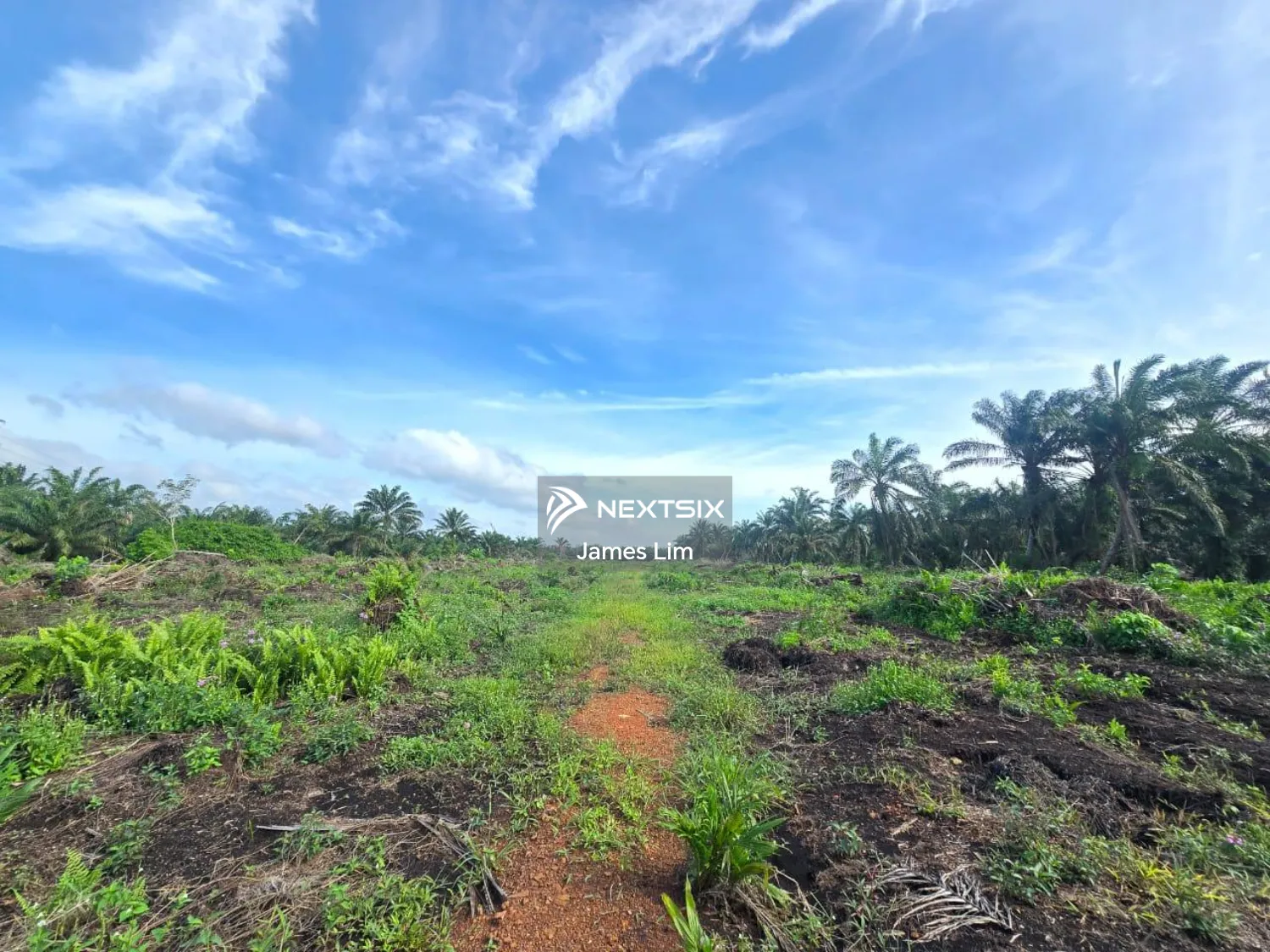 Agricultural Land For Sale in Pekan Nanas Johor - Image 4