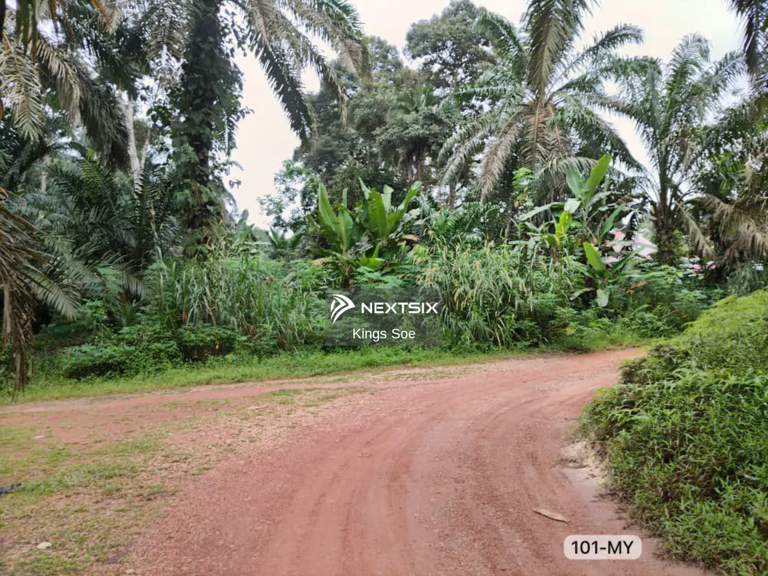 Agricultural Land For Sale in Kuala Selangor Selangor