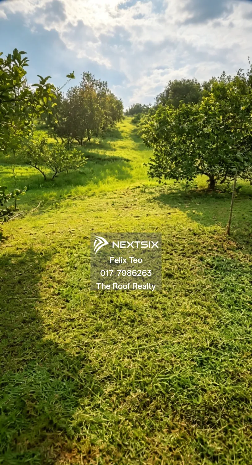 Agricultural Land For Sale in Kota Tinggi Johor