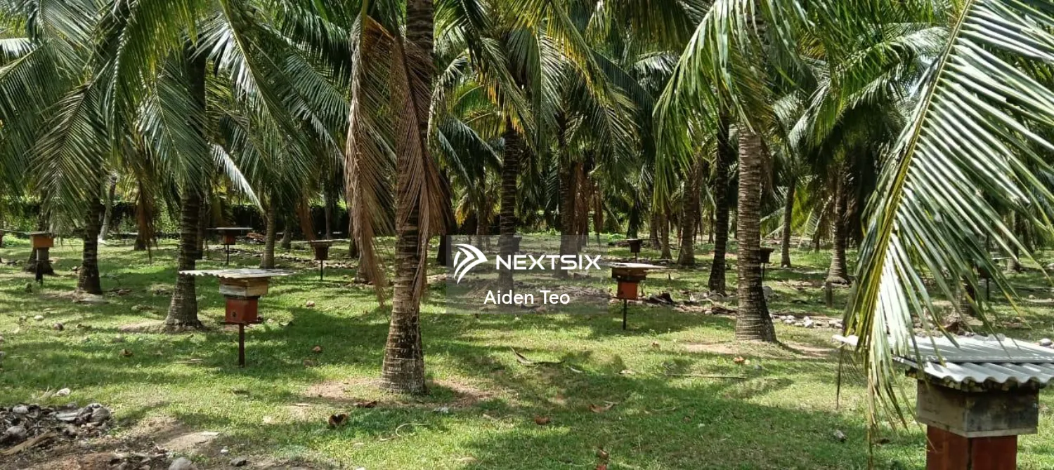 Agricultural Land For Sale in Alor Gajah Melaka