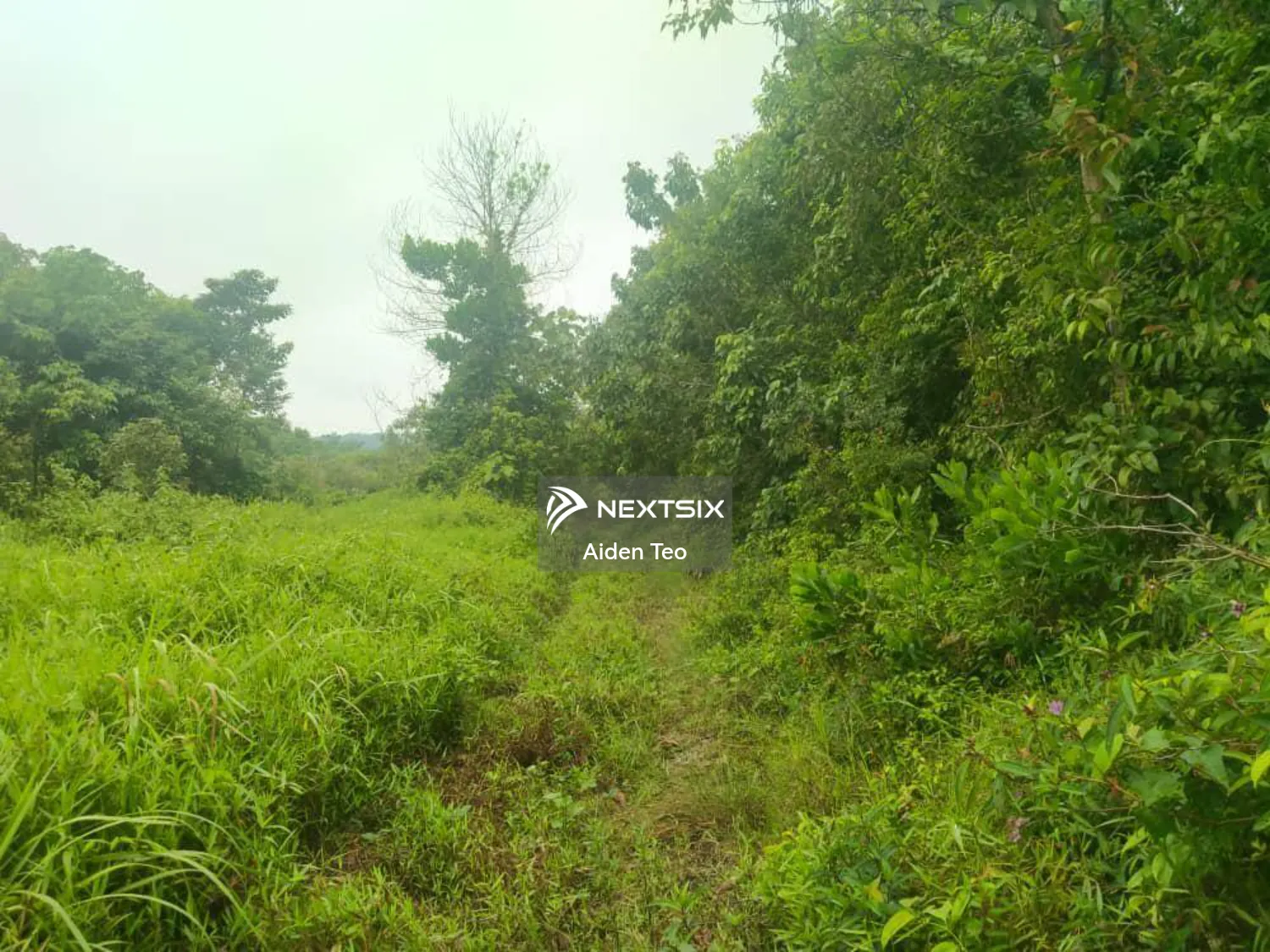 Agricultural Land For Sale in Jasin Melaka - Image 2