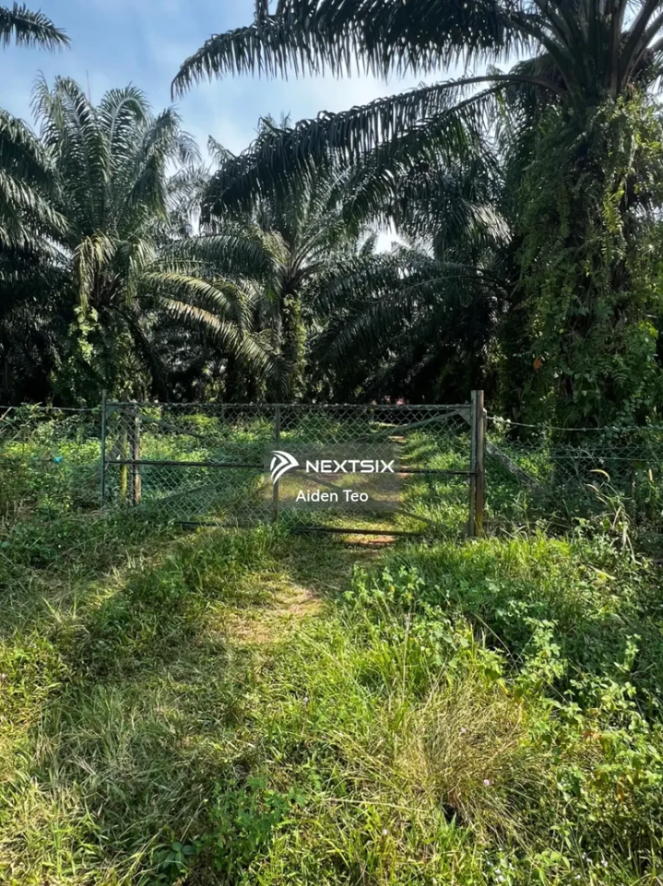 Agricultural Land For Sale in Alor Gajah Melaka - Image 3