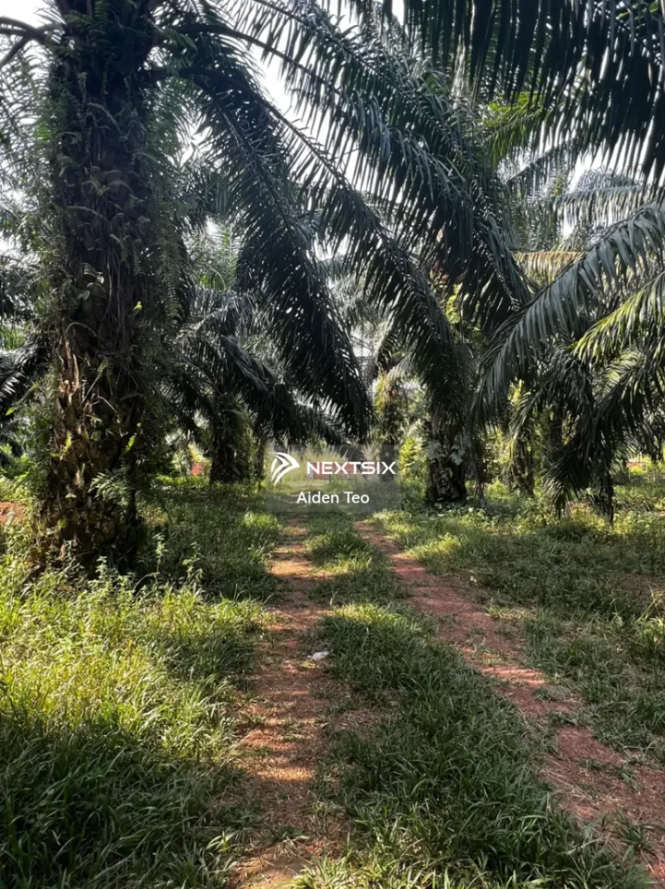 Agricultural Land For Sale in Alor Gajah Melaka - Image 5