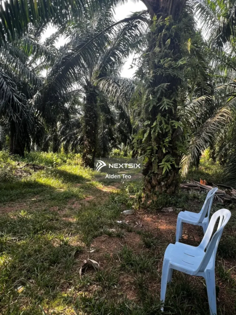 Agricultural Land For Sale in Alor Gajah Melaka - Image 6