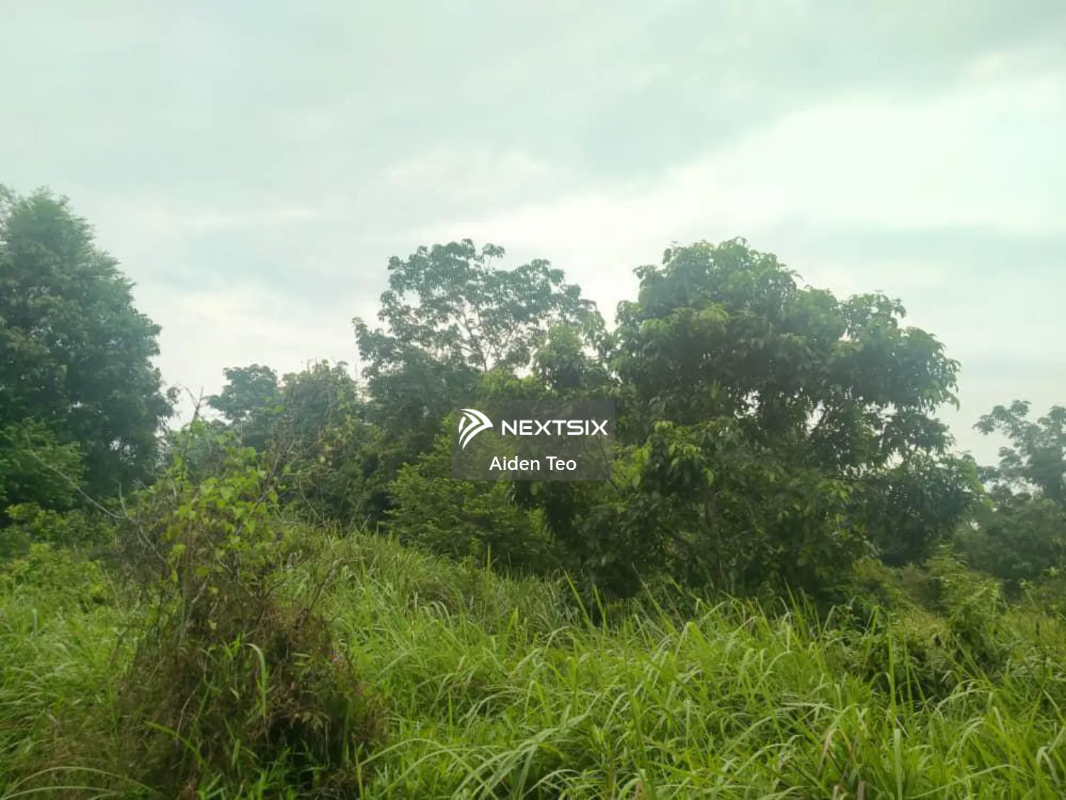 Agricultural Land For Sale in Alor Gajah Melaka
