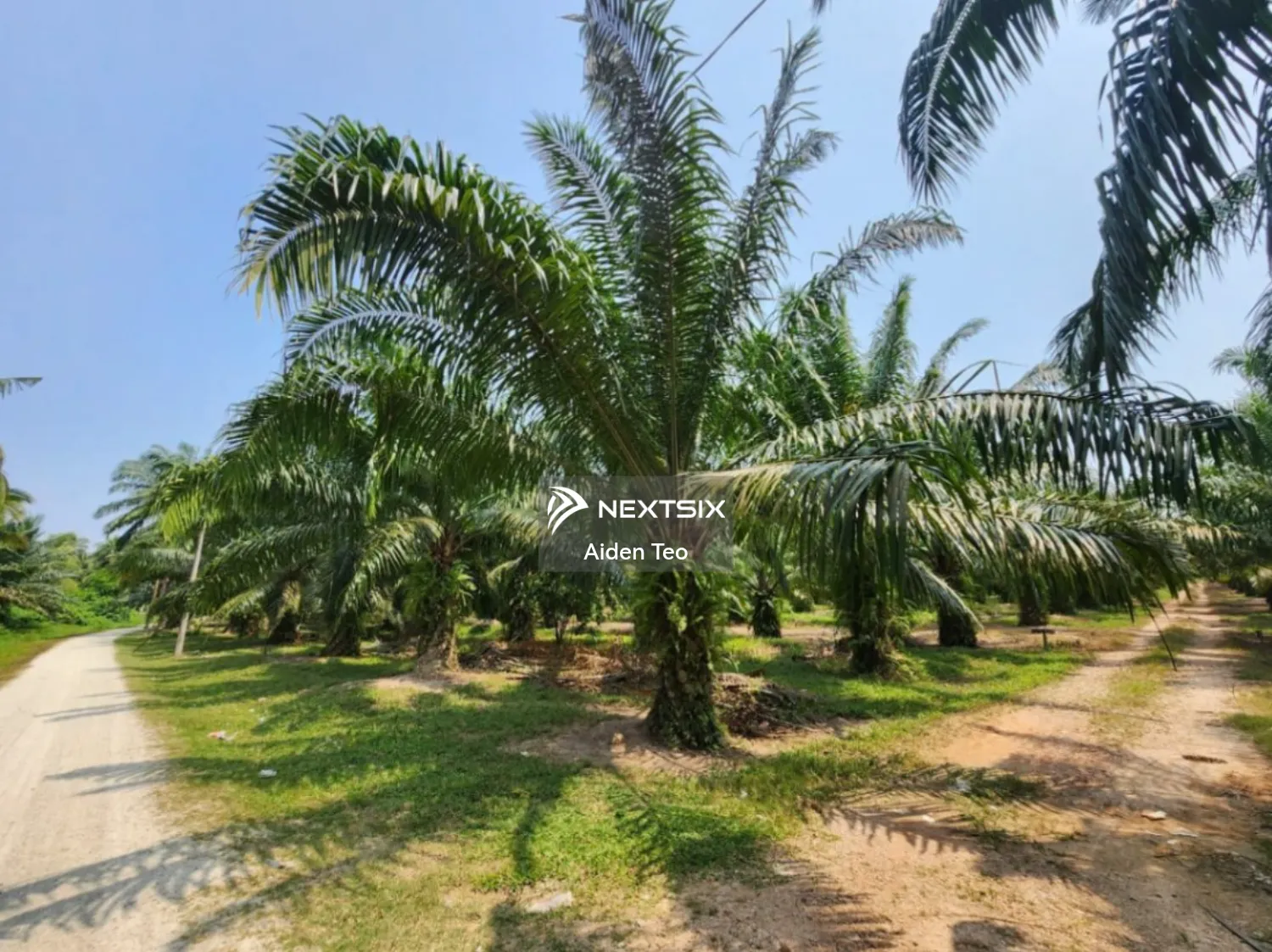 Agricultural Land For Sale in Merlimau Melaka