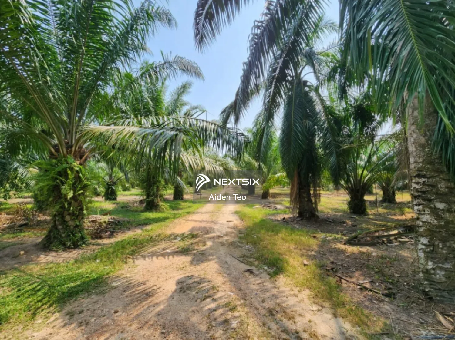 Agricultural Land For Sale in Merlimau Melaka - Image 2