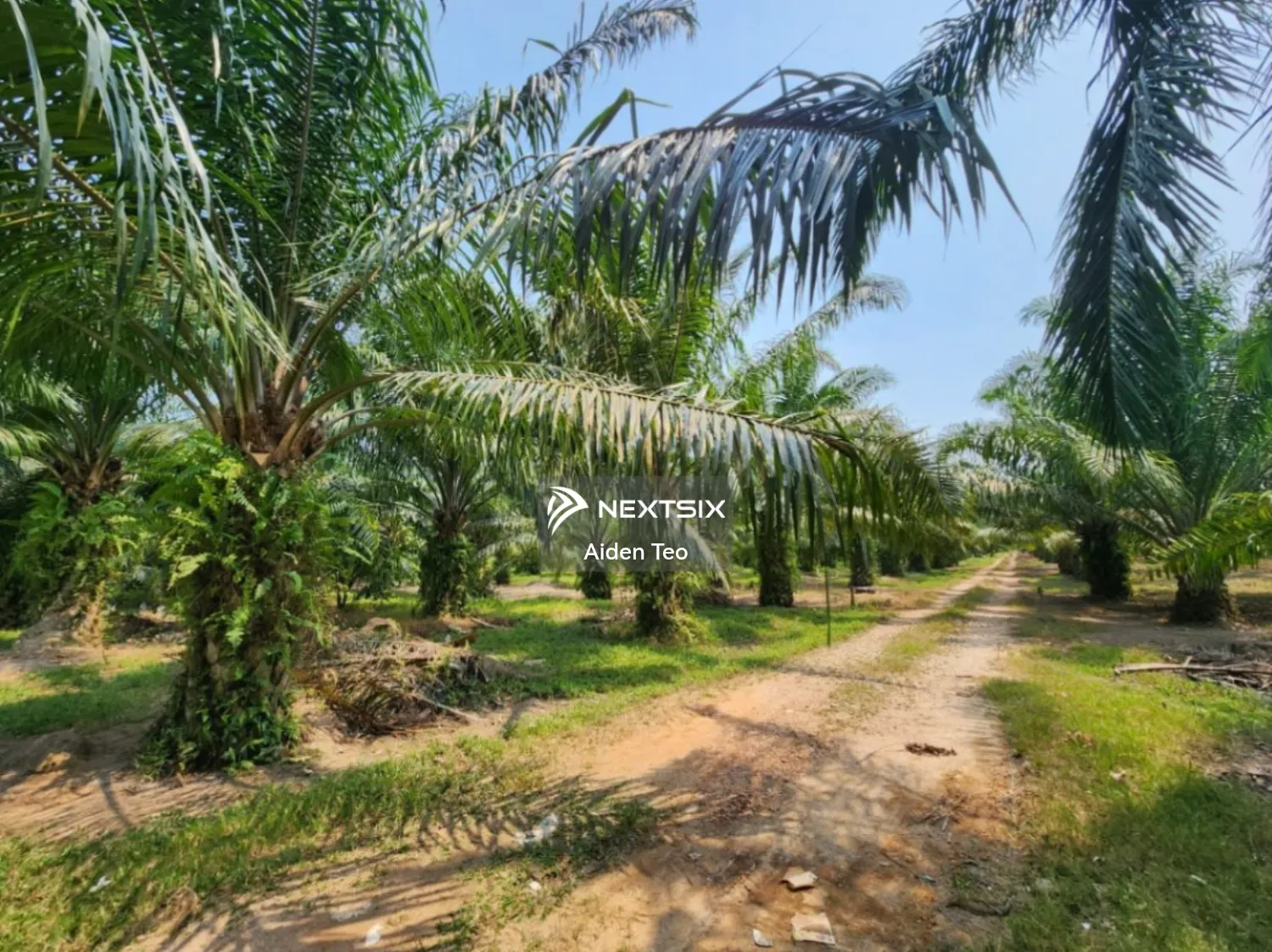 Agricultural Land For Sale in Merlimau Melaka - Image 3