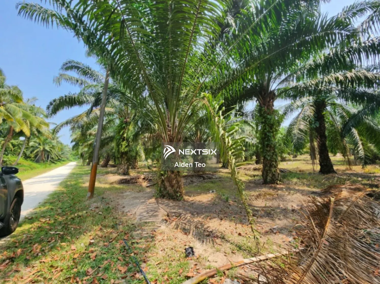 Agricultural Land For Sale in Merlimau Melaka - Image 4