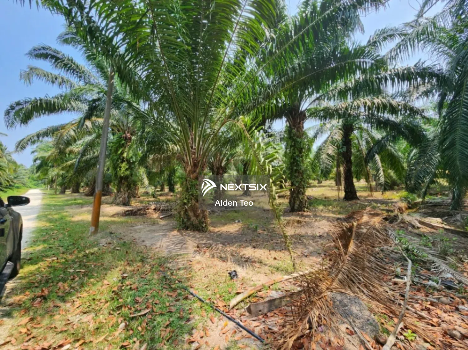 Agricultural Land For Sale in Merlimau Melaka - Image 5