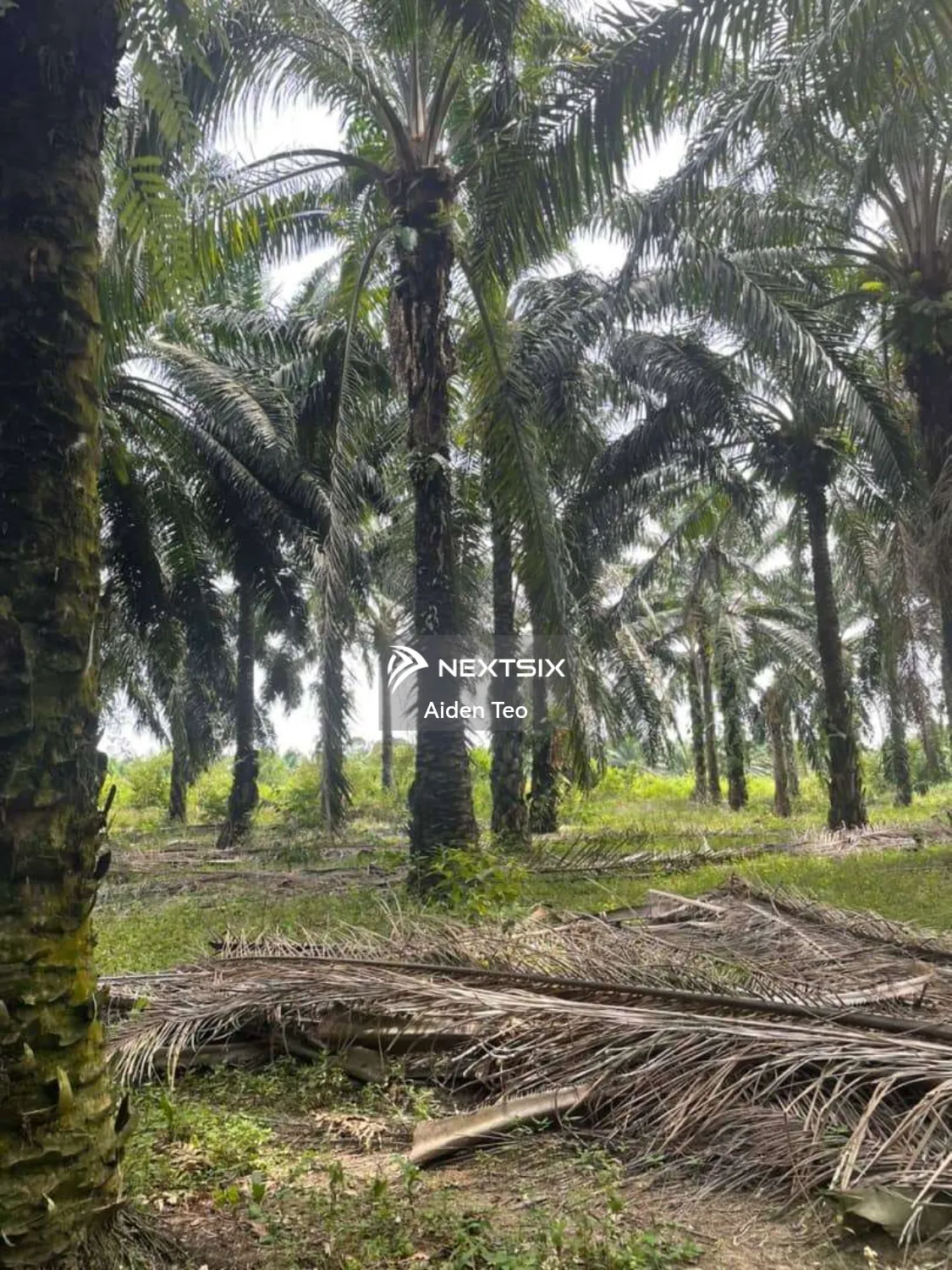 Agricultural Land For Sale in Masjid Tanah Melaka