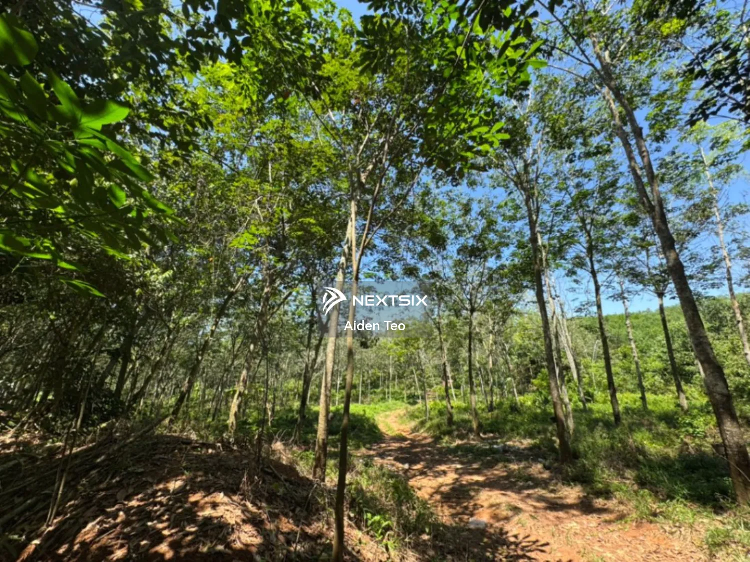 Agricultural Land For Sale in Alor Gajah Melaka