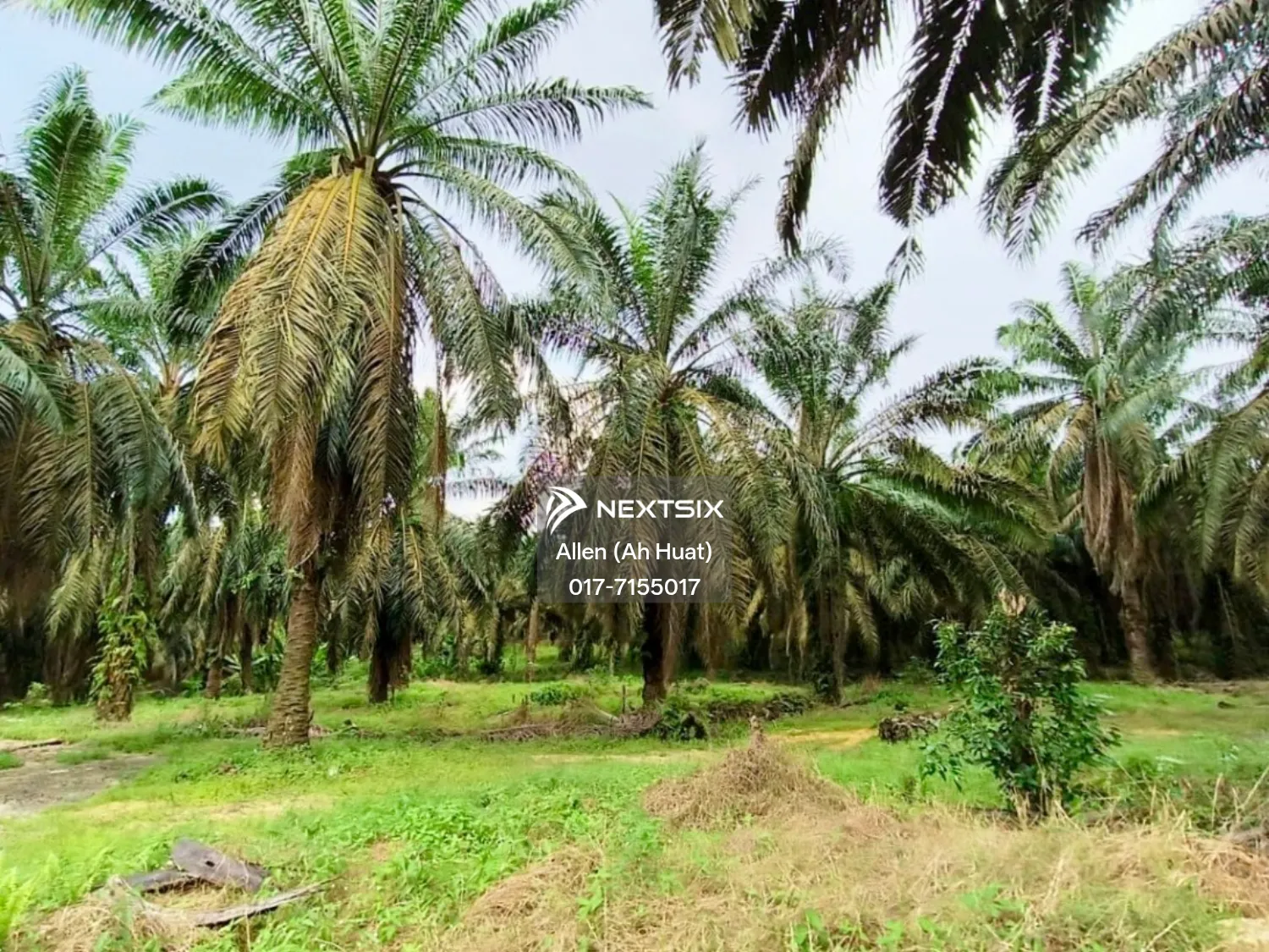 Industrial Land For Rent in Senai Johor